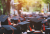 Craddock-Murray-Neumann-Lawyers-Whats-new-about-the-Temporary-Graduate-subclass-485-visajpg